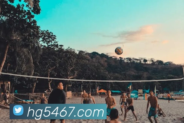 皇冠体育网站入口平台生态图